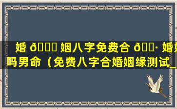婚 🐟 姻八字免费合 🌷 婚好吗男命（免费八字合婚姻缘测试_周易文化）